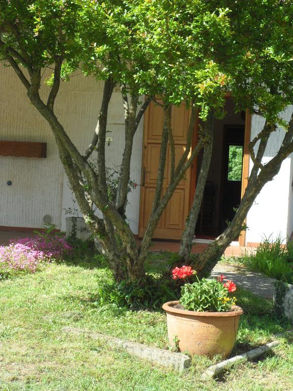 Tricesimo B&B Cuei Di Baret المظهر الخارجي الصورة